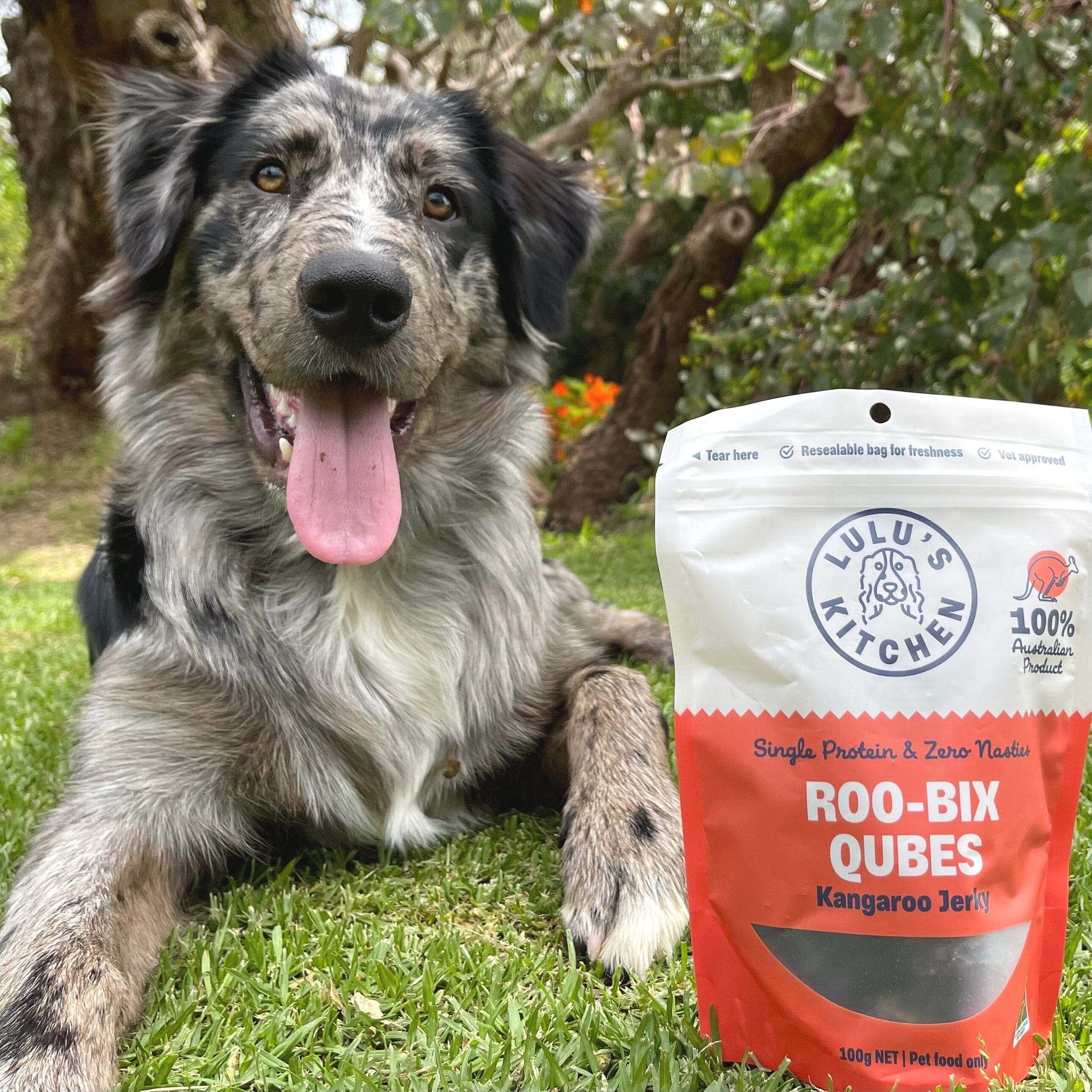 Roo-Bix Qubes - Kangaroo Jerky-Dog Treat-Rover Pet Products