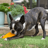 Nylon Corn On The Cob-Chew Toy-Rover Pet Products