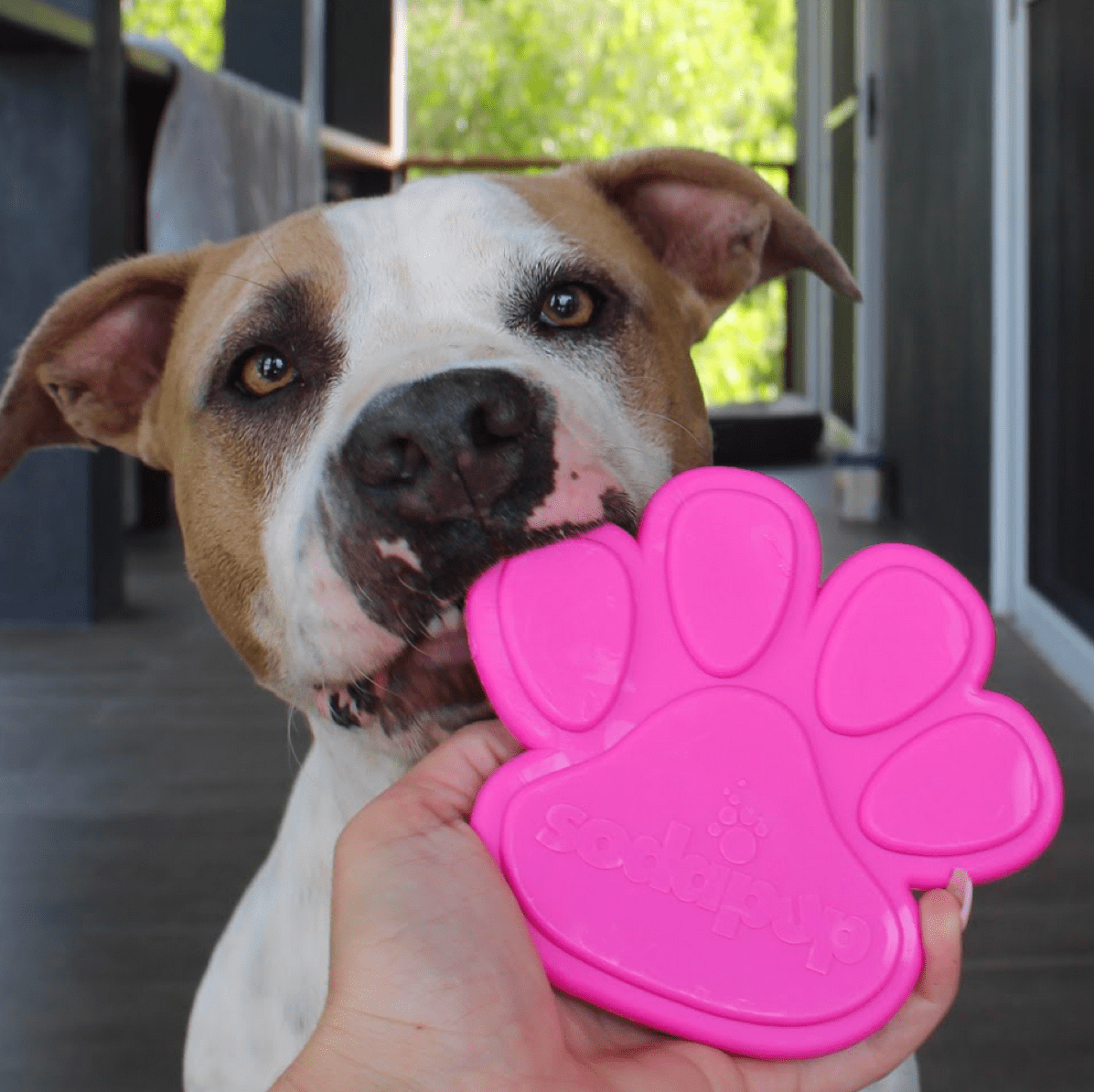 Nylon Paw (Power Chewers)-Chew Toy-Rover Pet Products