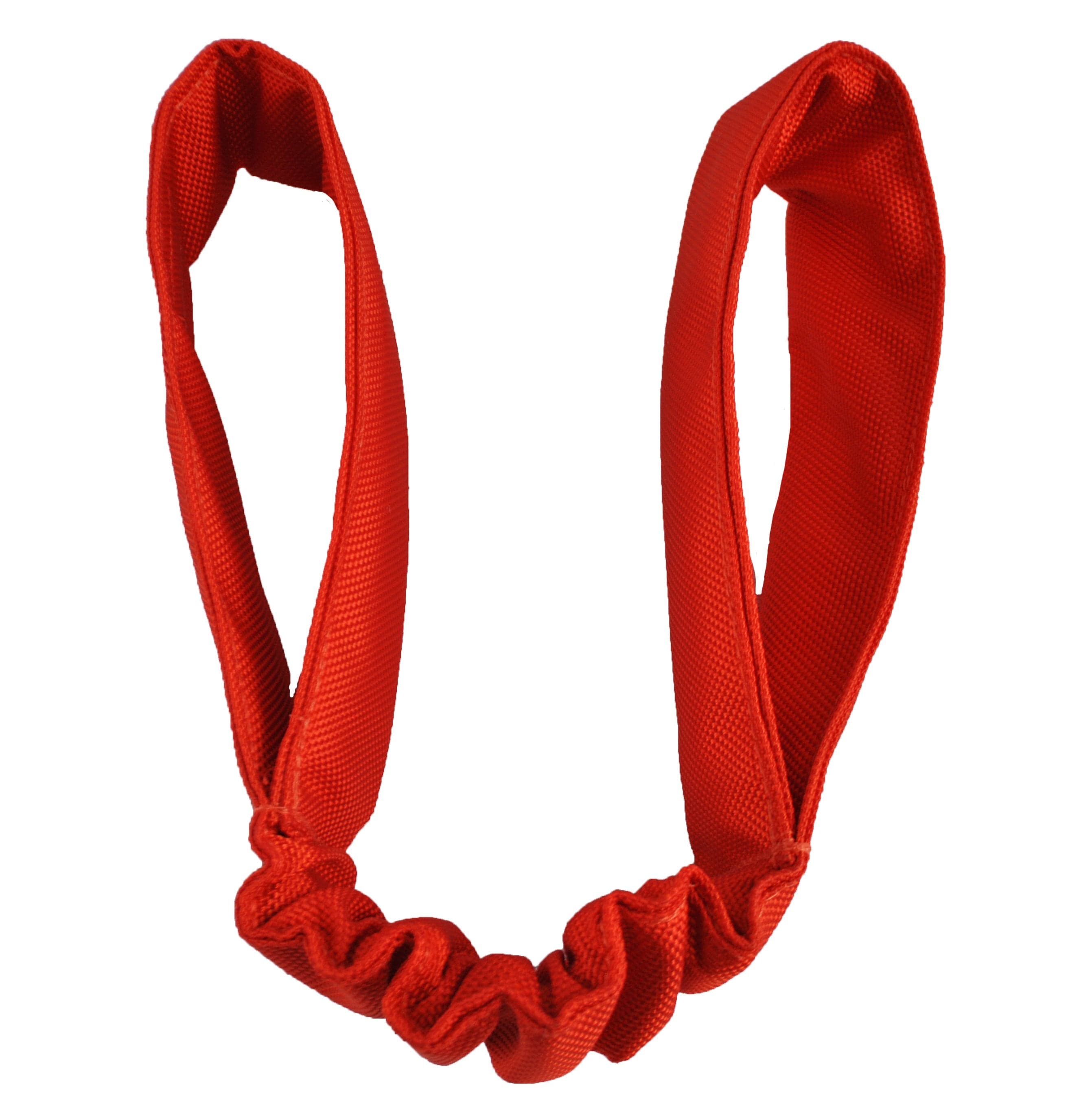 Double Bungee Tug-Rover Pet Products