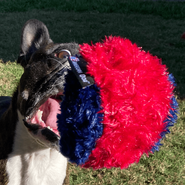 Nuggle Ball-Rover Pet Products