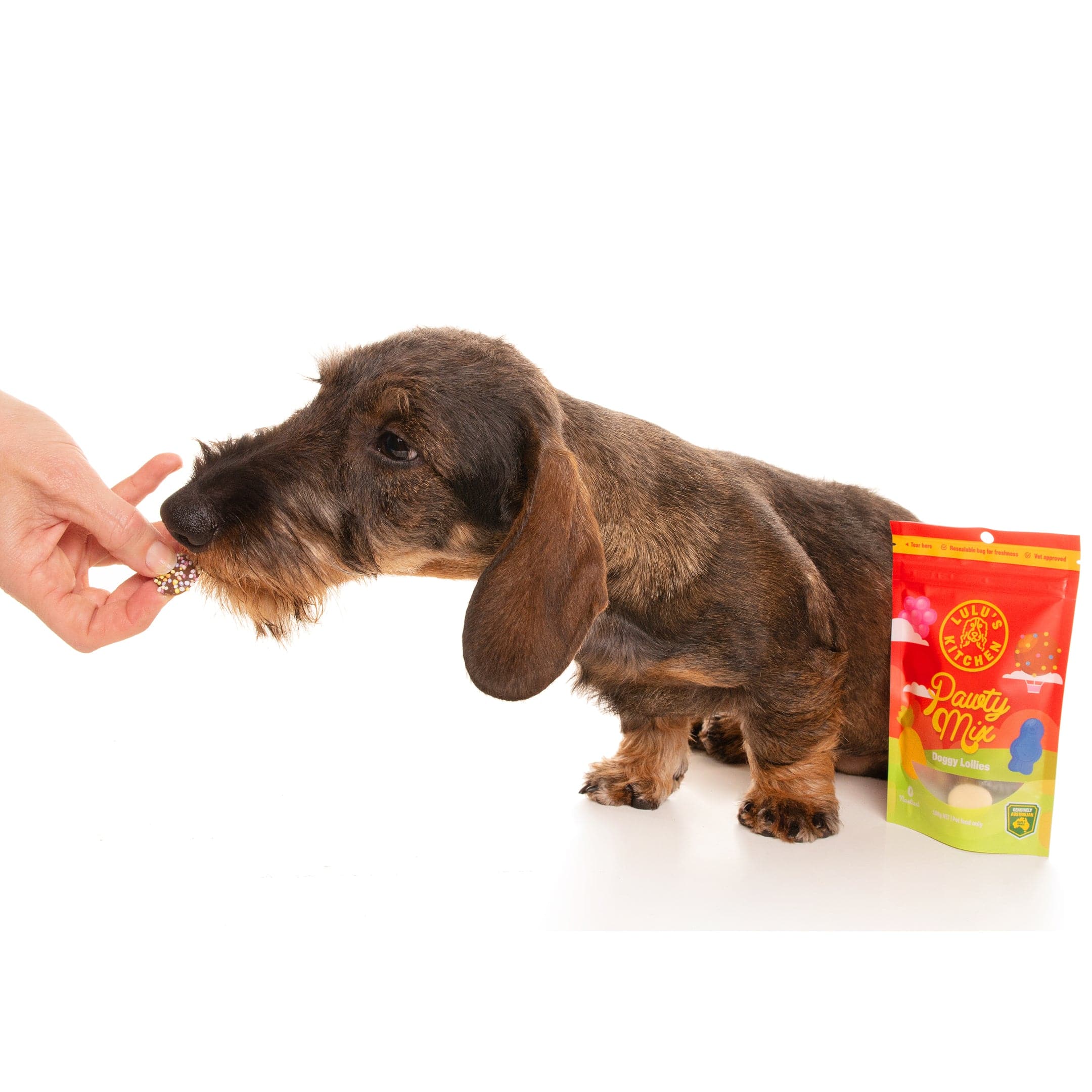 Pawty Mix-Rover Pet Products
