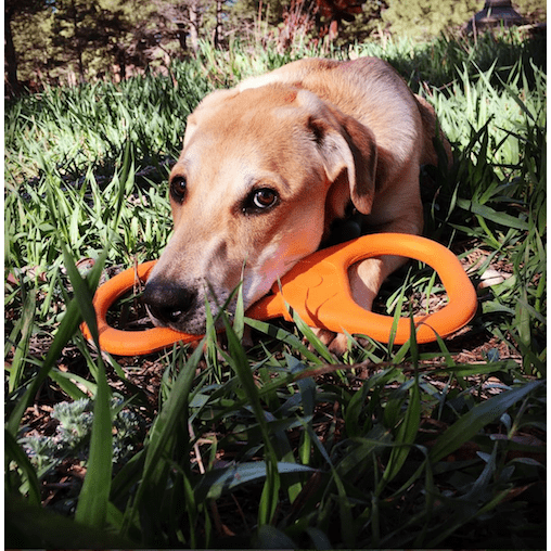 Can Opener Tug Toy-Dog Toy-Rover Pet Products