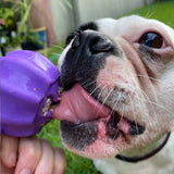 Cross Bone Treat Pocket Dog Toy-Dog Toy-Rover Pet Products