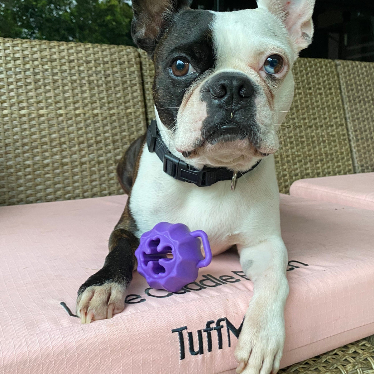 Cross Bone Treat Pocket Dog Toy-Dog Toy-Rover Pet Products