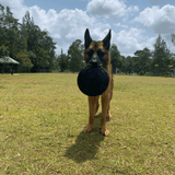 Magnum Bottle Top Flyer-Dog Toy-Rover Pet Products