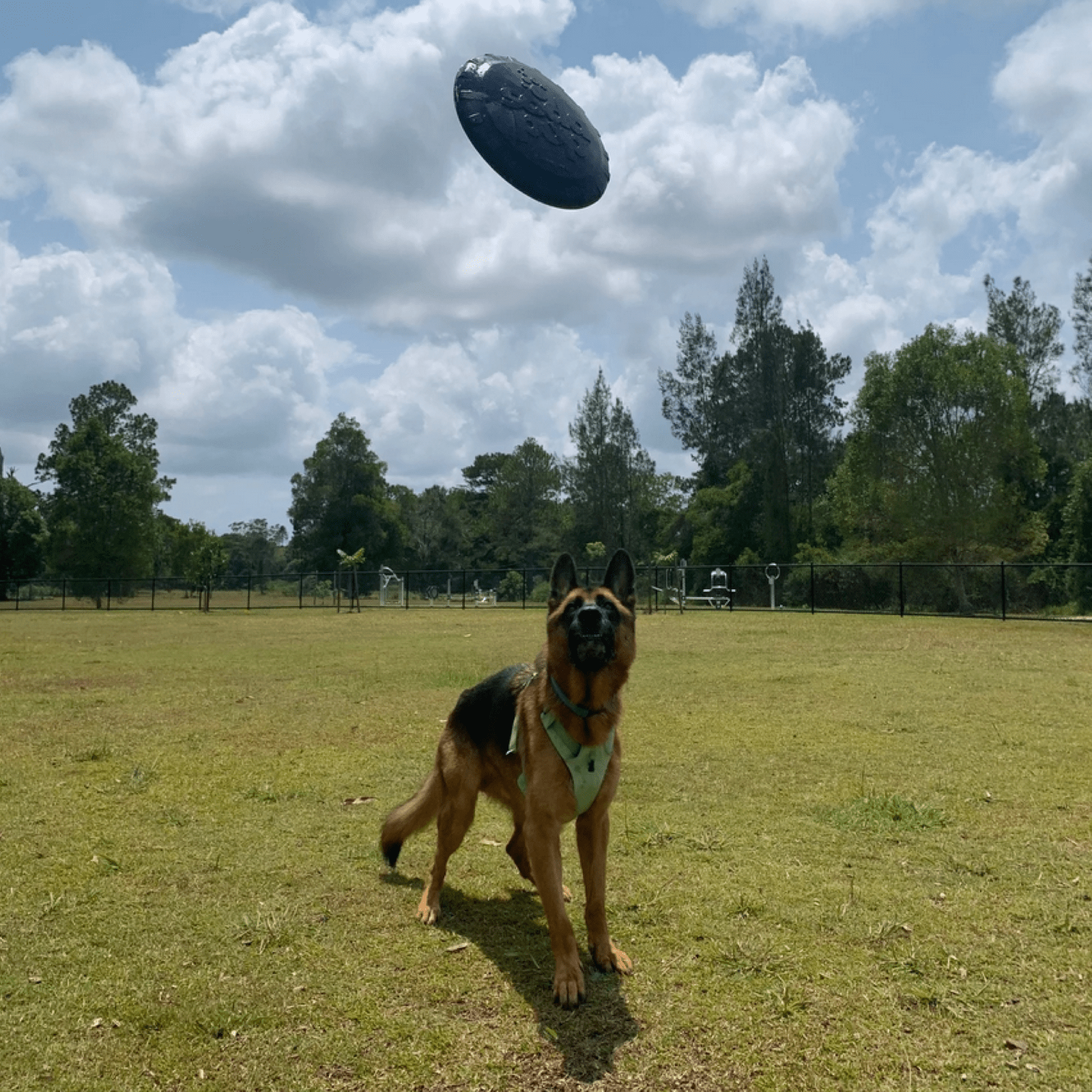 Magnum Bottle Top Flyer-Dog Toy-Rover Pet Products