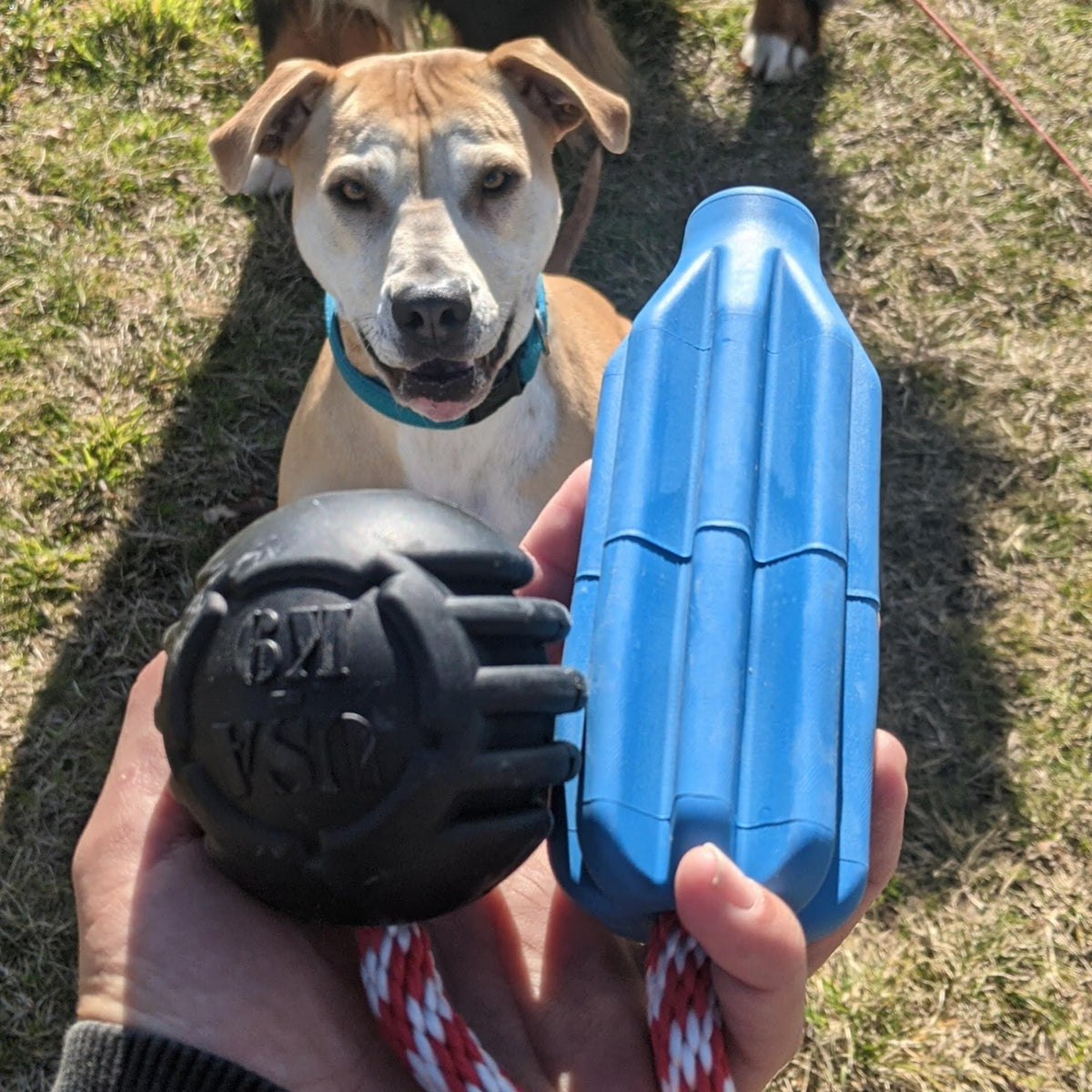 Magnum Stars & Stripes Ball Reward Toy-Dog Toy-Rover Pet Products