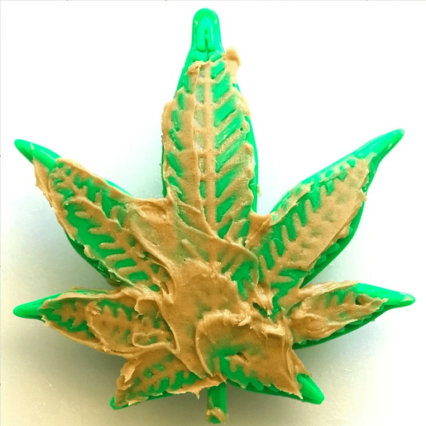 Maple Leaf-Dog Toy-Rover Pet Products