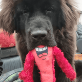 Nuggle larry The Lobster-Unclassified-Rover Pet Products