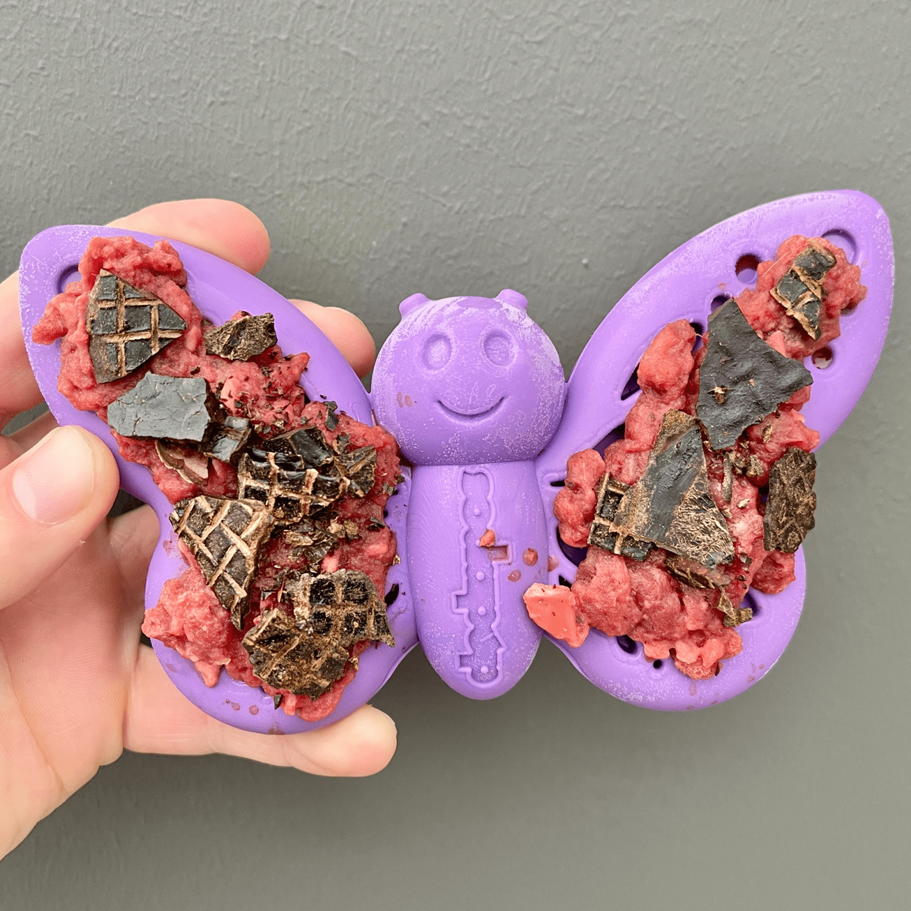 Nylon Butterfly-Unclassified-Rover Pet Products