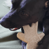 Nylon Gingerbread Man-Dog Toy-Rover Pet Products
