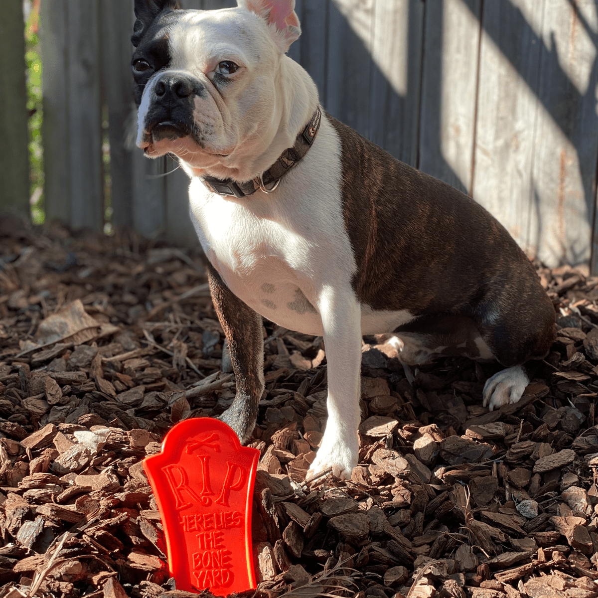 Nylon Headstone-Dog Toy-Rover Pet Products