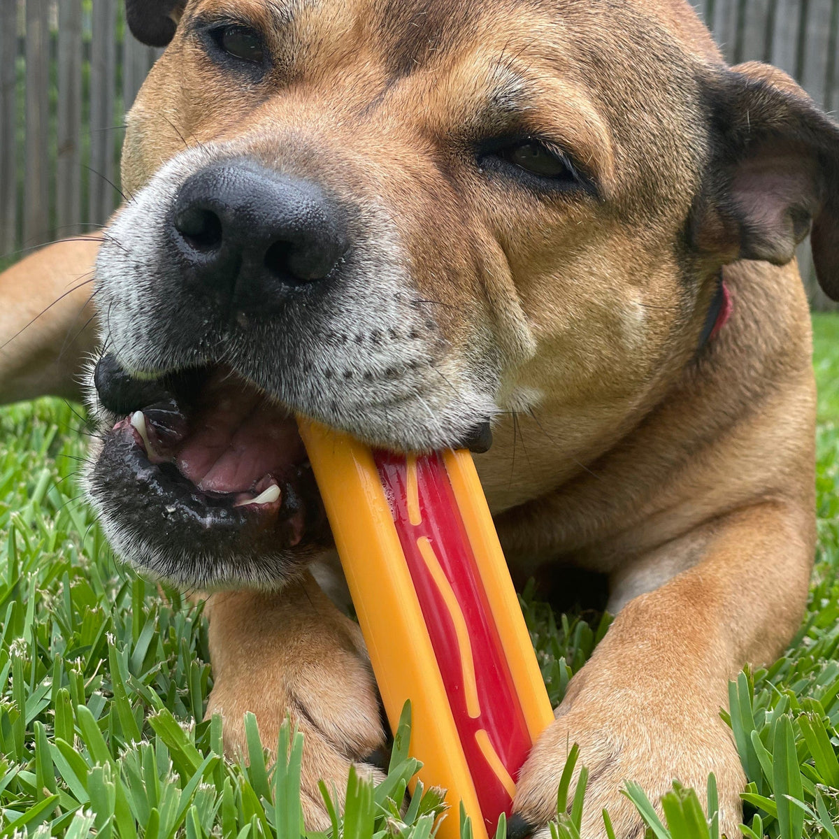 Nylon Hot Dog-Dog Toy-Rover Pet Products