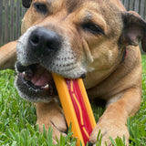 Nylon Hot Dog-Dog Toy-Rover Pet Products