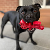 Nylon Key To My Heart-Dog Toy-Rover Pet Products