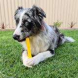 Nylon Pipe Wrench-Dog Toy-Rover Pet Products