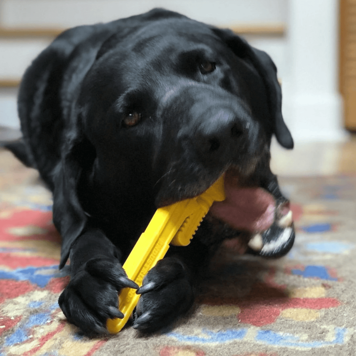 Nylon Pipe Wrench-Dog Toy-Rover Pet Products