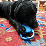 Nylon Pull Tab-Dog Toy-Rover Pet Products