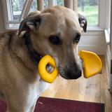 Nylon Shovel-Dog Toy-Rover Pet Products