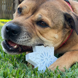 Nylon Snowflake-Dog Toy-Rover Pet Products