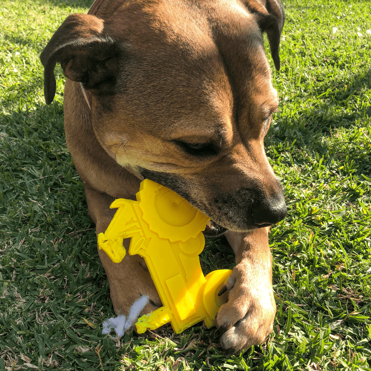 Nylon Tractor-Dog Toy-Rover Pet Products