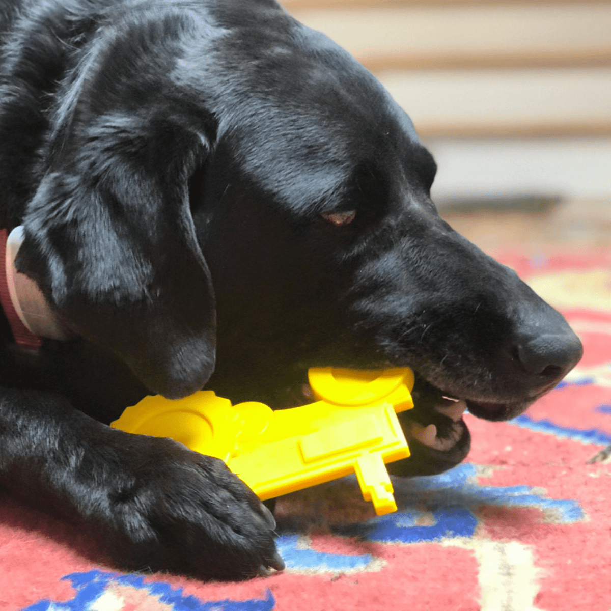 Nylon Tractor-Dog Toy-Rover Pet Products