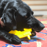Nylon Tractor-Dog Toy-Rover Pet Products