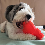 Nylon Turkey-Dog Toy-Rover Pet Products