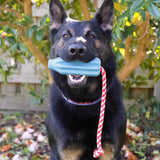Rocket Pop Dental and Retrieving Toy-Dog Toy-Rover Pet Products