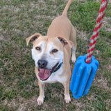 Rocket Pop Dental and Retrieving Toy-Dog Toy-Rover Pet Products