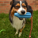 Rocket Pop Dental and Retrieving Toy-Dog Toy-Rover Pet Products