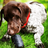 Magnum Can Toy (Power Chewers)-Dog Toy-Rover Pet Products