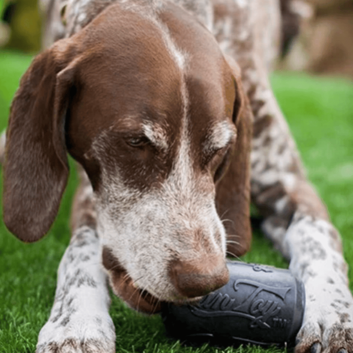 Magnum Can Toy (Power Chewers)-Dog Toy-Rover Pet Products