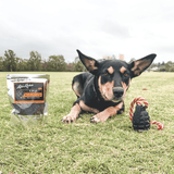 Magnum Grenade Reward Toy (Power Chewers)-Dog Toy-Rover Pet Products