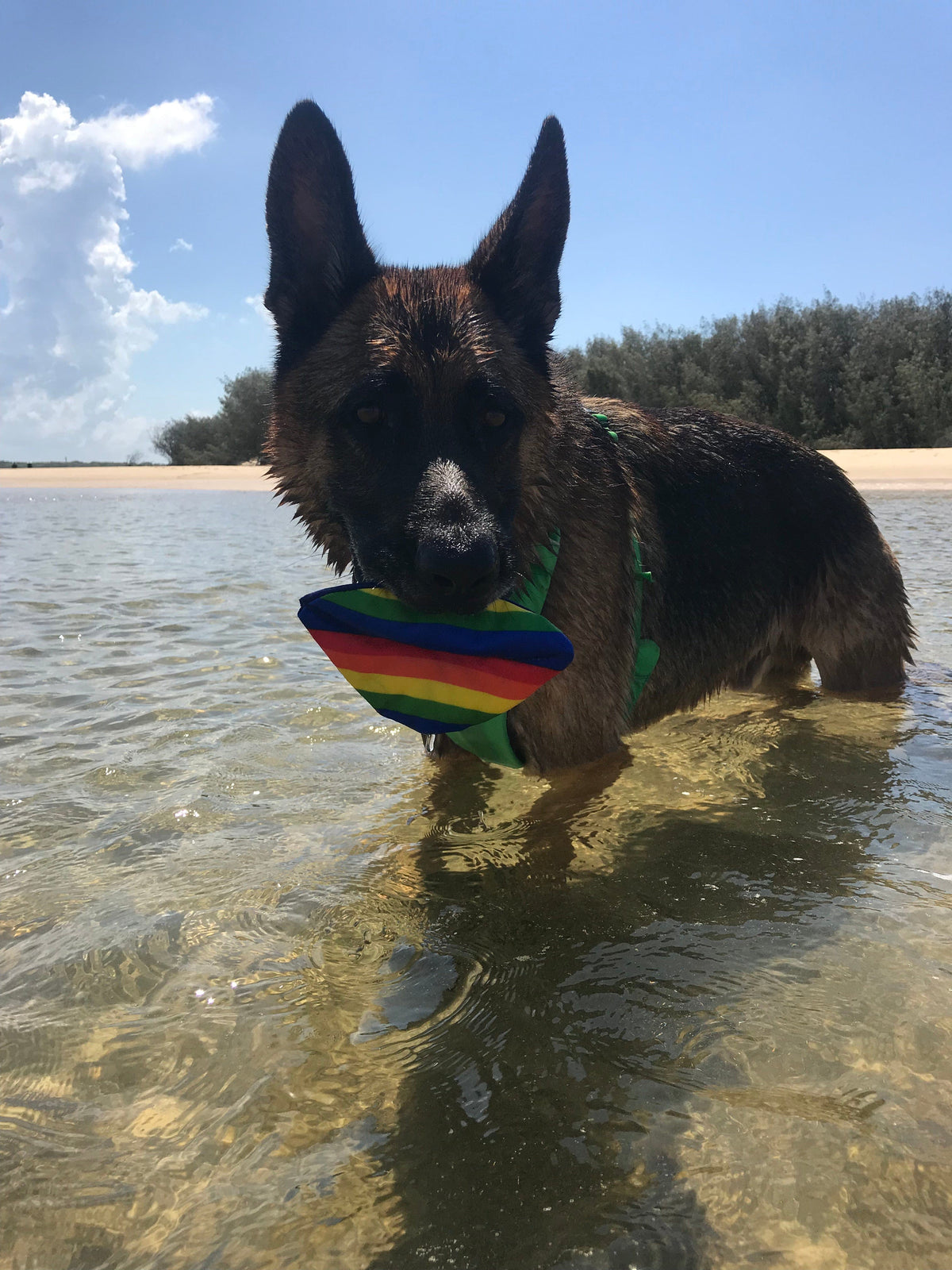 Big Rainbow Lips-Rover Pet Products