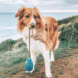 Grenade Reward Toy (with rope)-Dog Toy-Rover Pet Products