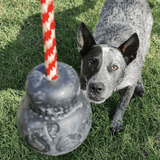 Magnum Skull Reward Toy-Dog Toy-Rover Pet Products