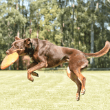 Original Bottle Top Flyers-Dog Toy-Rover Pet Products