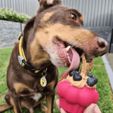 Pink Cupcake-Dog Toy-Rover Pet Products
