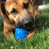 Grenade-Dog Toy-Rover Pet Products