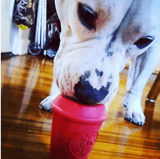 Coffee Cup-Dog Toy-Rover Pet Products