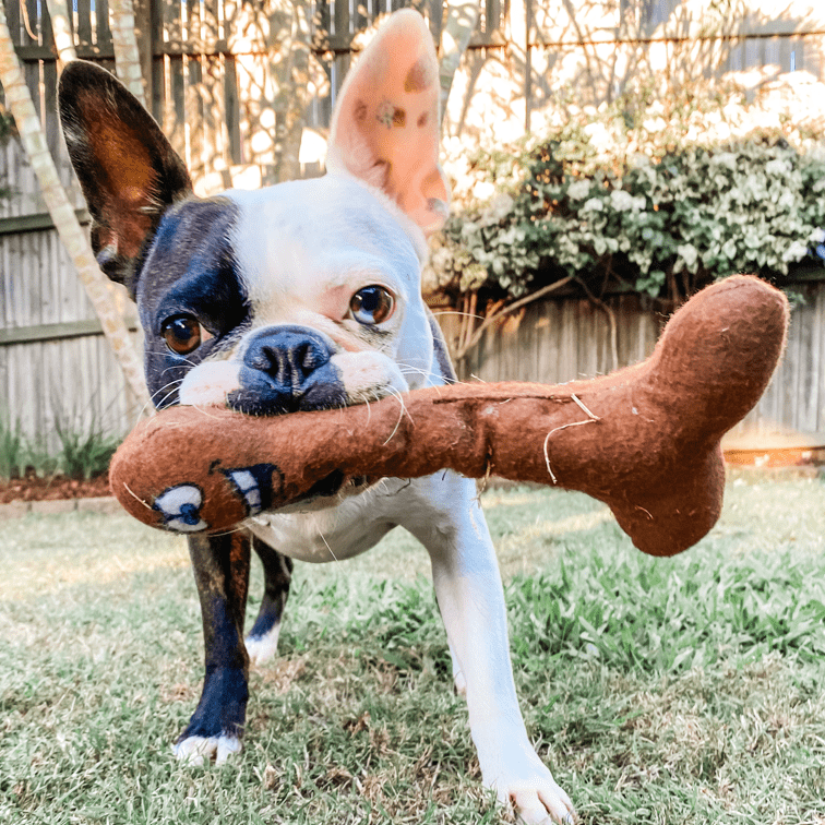 DICKS-Unclassified-Rover Pet Products