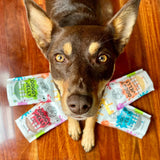 Pineapple, Mango & Tumeric Jelly Superfood Jelly-Doggy Jelly-Rover Pet Products