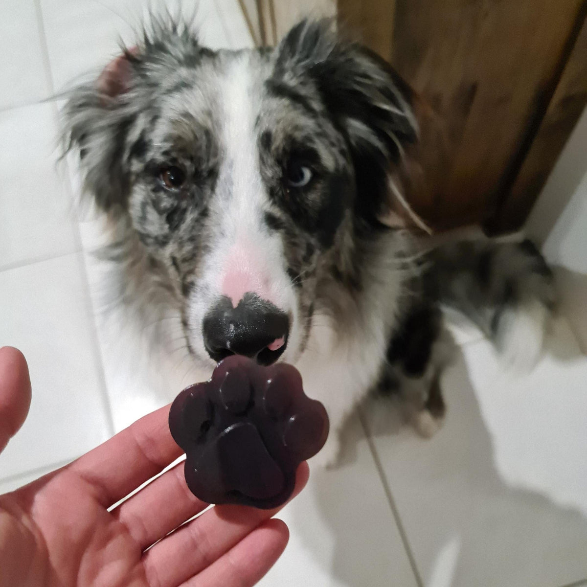 Strawberry Superfood Jelly-Doggy Jelly-Rover Pet Products