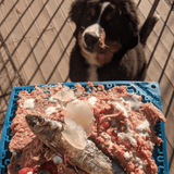 JIGSAW eMat Enrichment Lick Mat-Slow Feeder-Rover Pet Products
