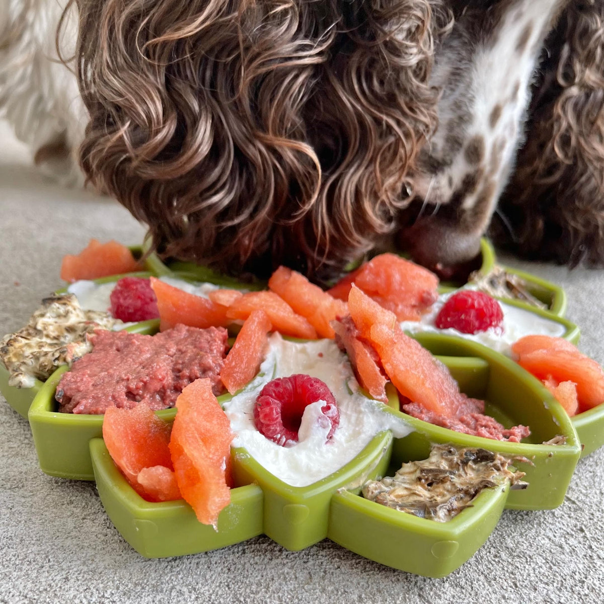 Mandala eTray Slowfeeder eTray-Slow Feeder-Rover Pet Products