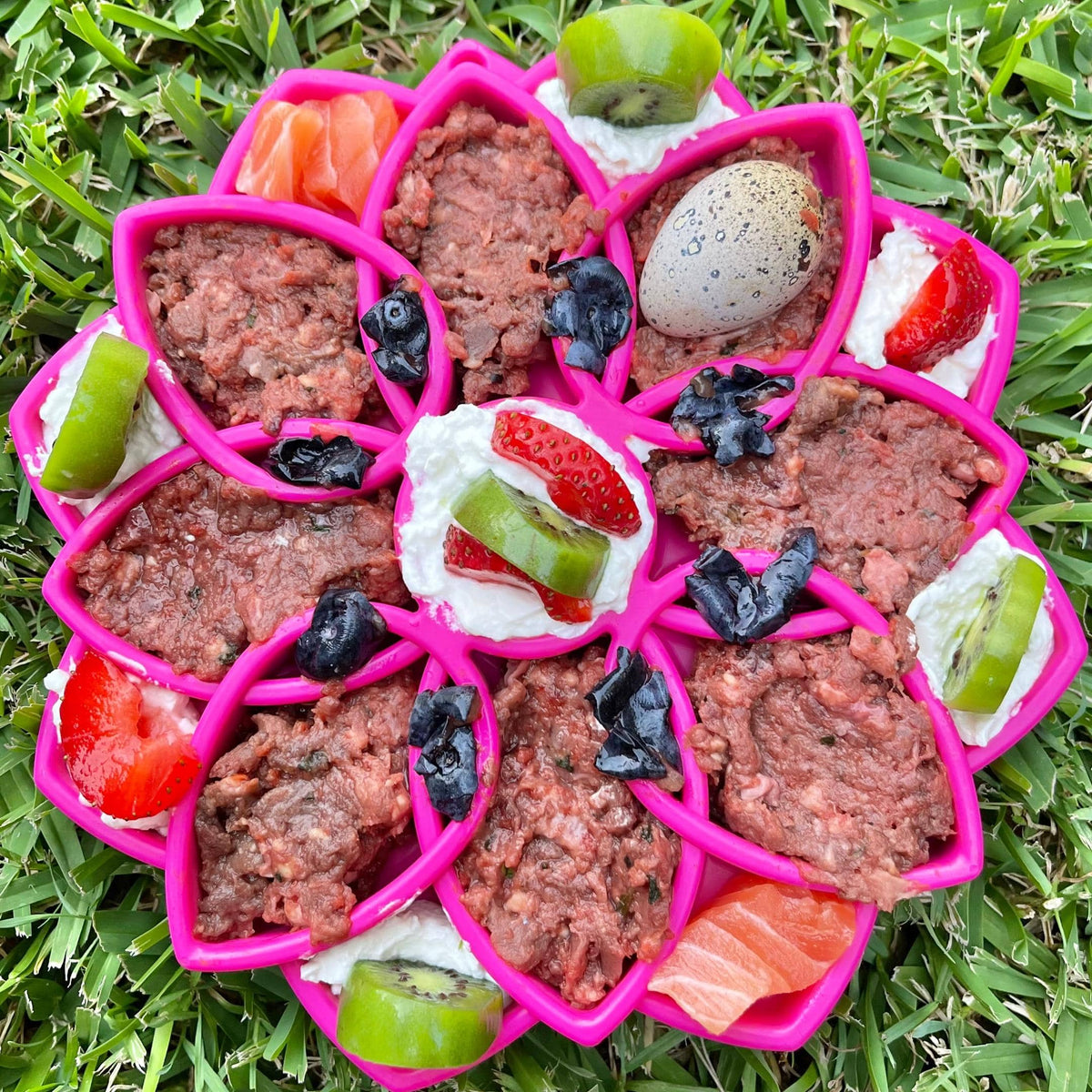 Mandala eTray Slowfeeder eTray-Slow Feeder-Rover Pet Products
