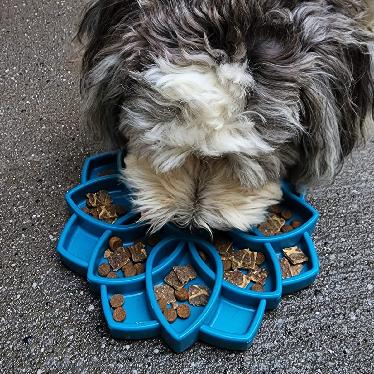 Mandala eTray Slowfeeder eTray-Slow Feeder-Rover Pet Products