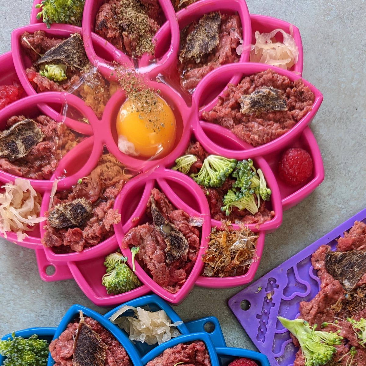 Mandala eTray Slowfeeder eTray-Slow Feeder-Rover Pet Products